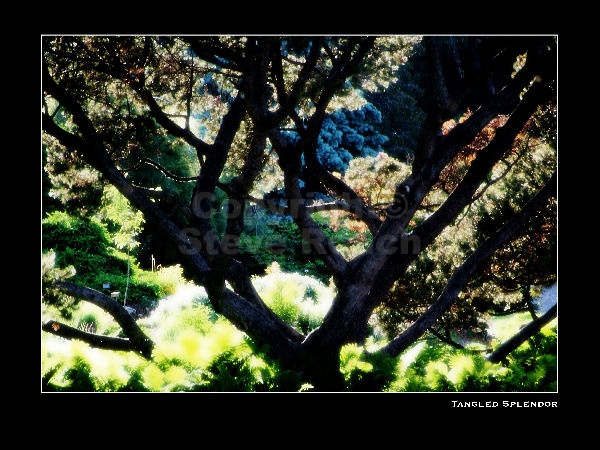 images/watermarked/Witness/Witness 020 (Sides 41-42).jpg
